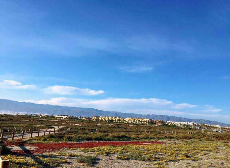 Apartamento Lujo, Primera Linea Playa, Garaje, Wifi, Piscina Climatizada Roquetas de Mar Exterior foto